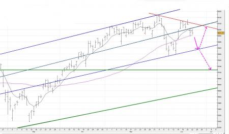 Purge avant l'�t� ....suivez les fl�ches roses ......